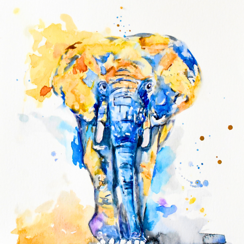 Watercolor abstract Elephant Art Prints