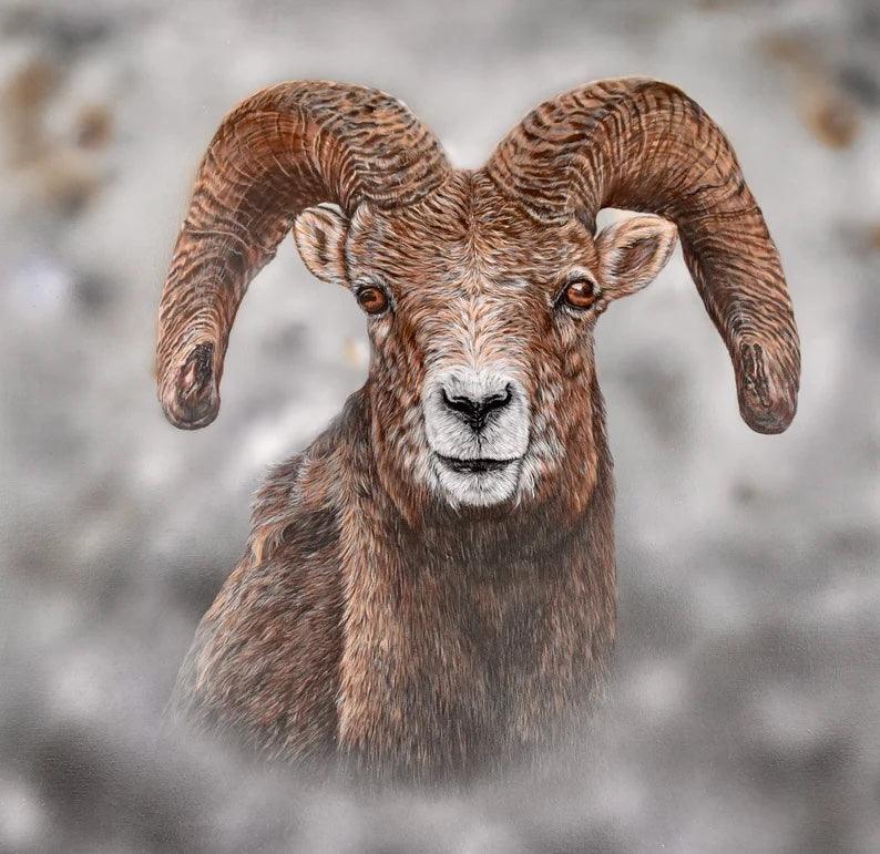 Big Horn - Essence of the art by Yui & Bow