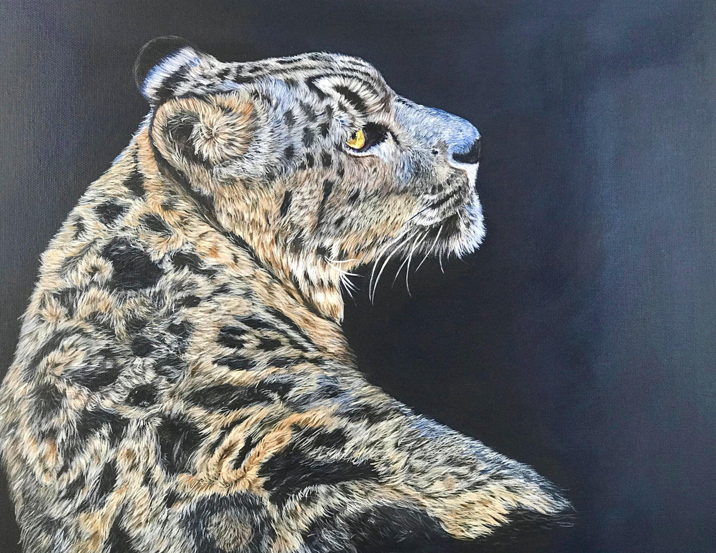 Blue snow Leopard - Essence of the art by Yui & Bow