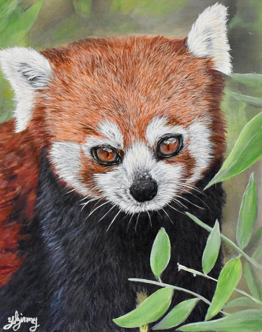 Red Panda Acrylic Painting on Canvas