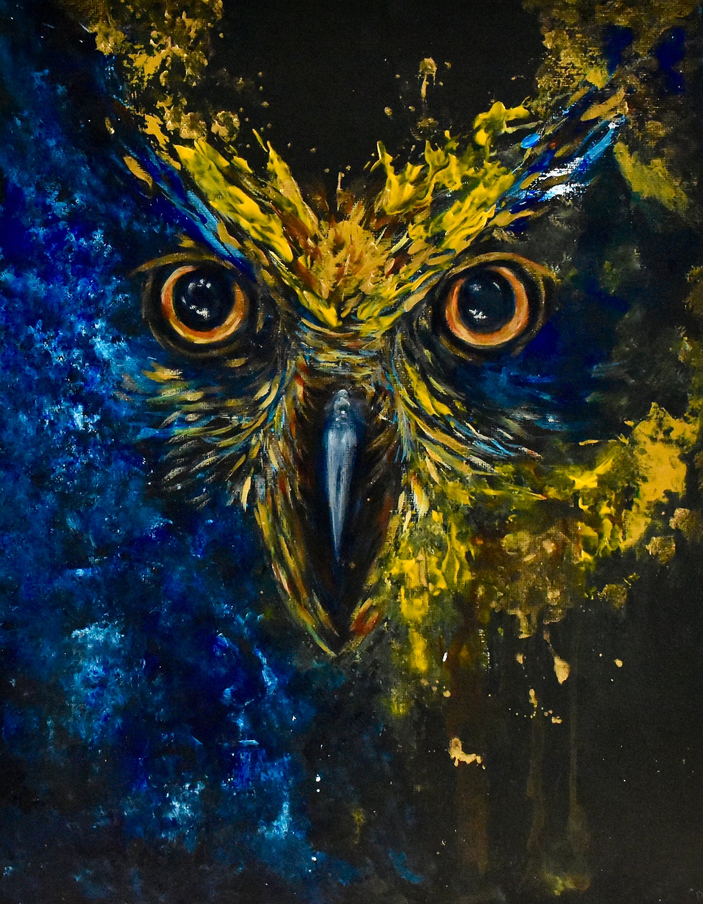 Fly By night ( OWL) in Blue on Black