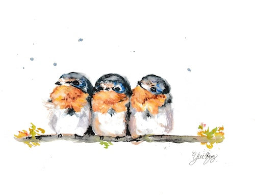 Sparrows Babies