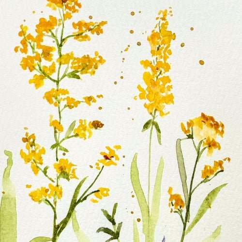 Barbarea "Yellow Rocket" Note card - Yuiart