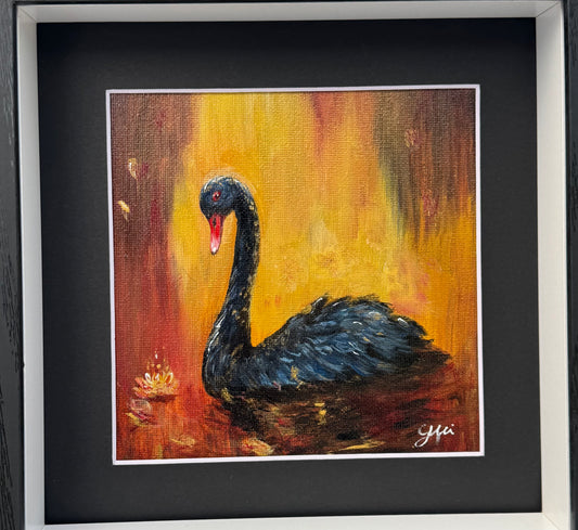 Golden light of Black Swan