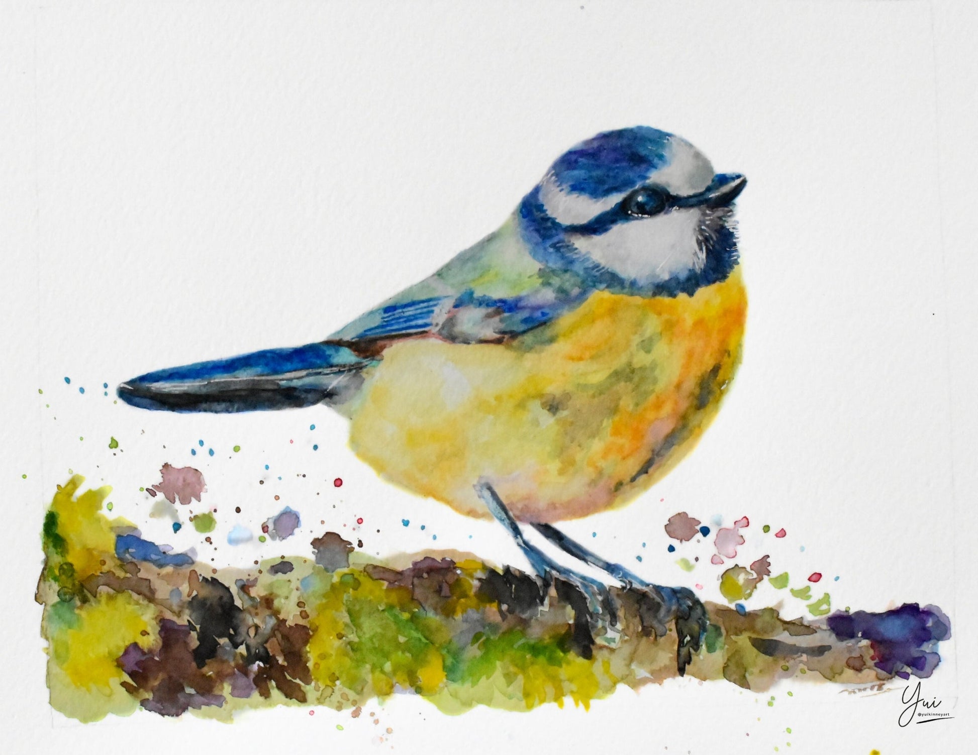 "Blue tit " Original watercolor art - Yuiart