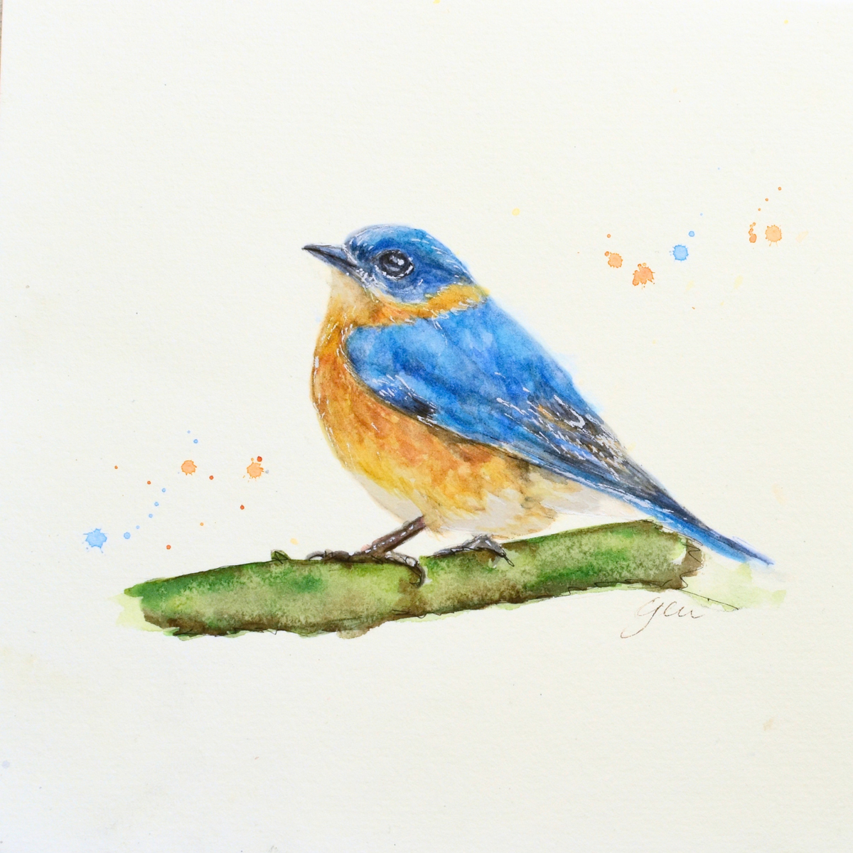 A watercolor painting of a bluebird perched on a green branch, with a blue back, bright orange chest, and white underbelly, on a plain off-white background. print on fine art paper.
