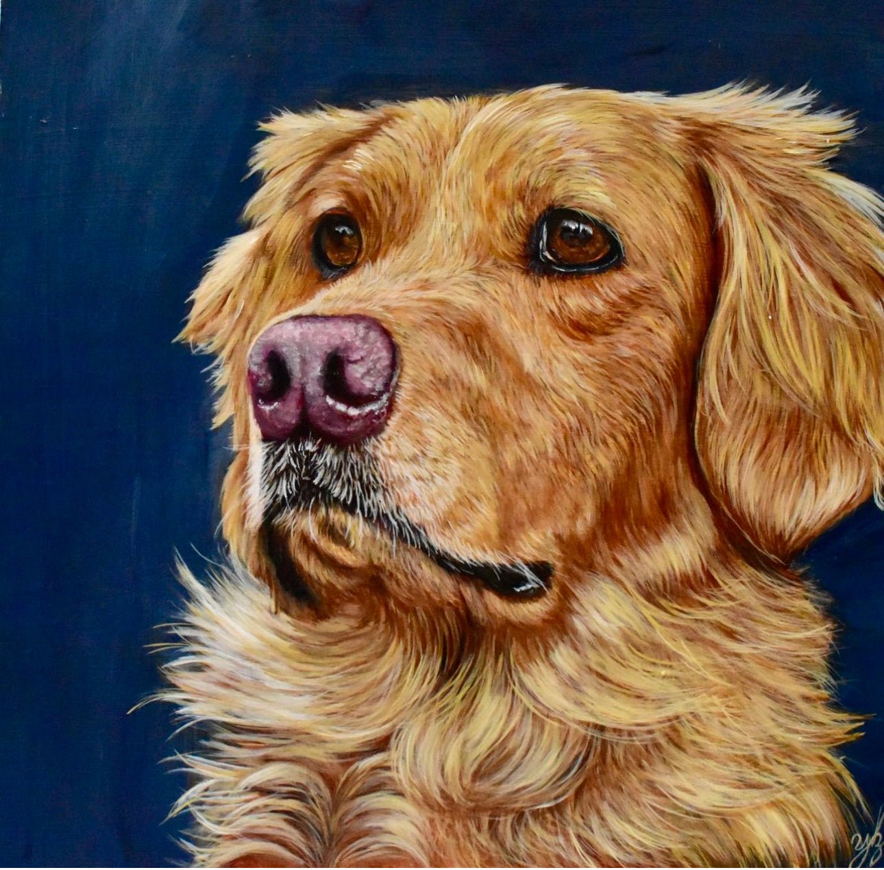 Fine Art Custom Pet and Animal Portrait - Yuiart