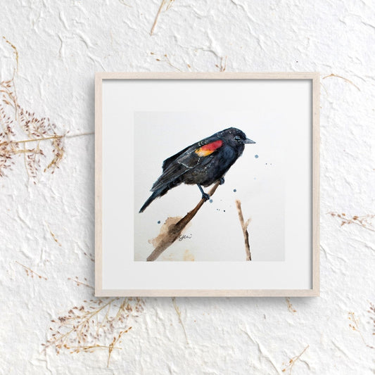 Red wing black bird Watercolor Art Print | Yui Art - Yuiart