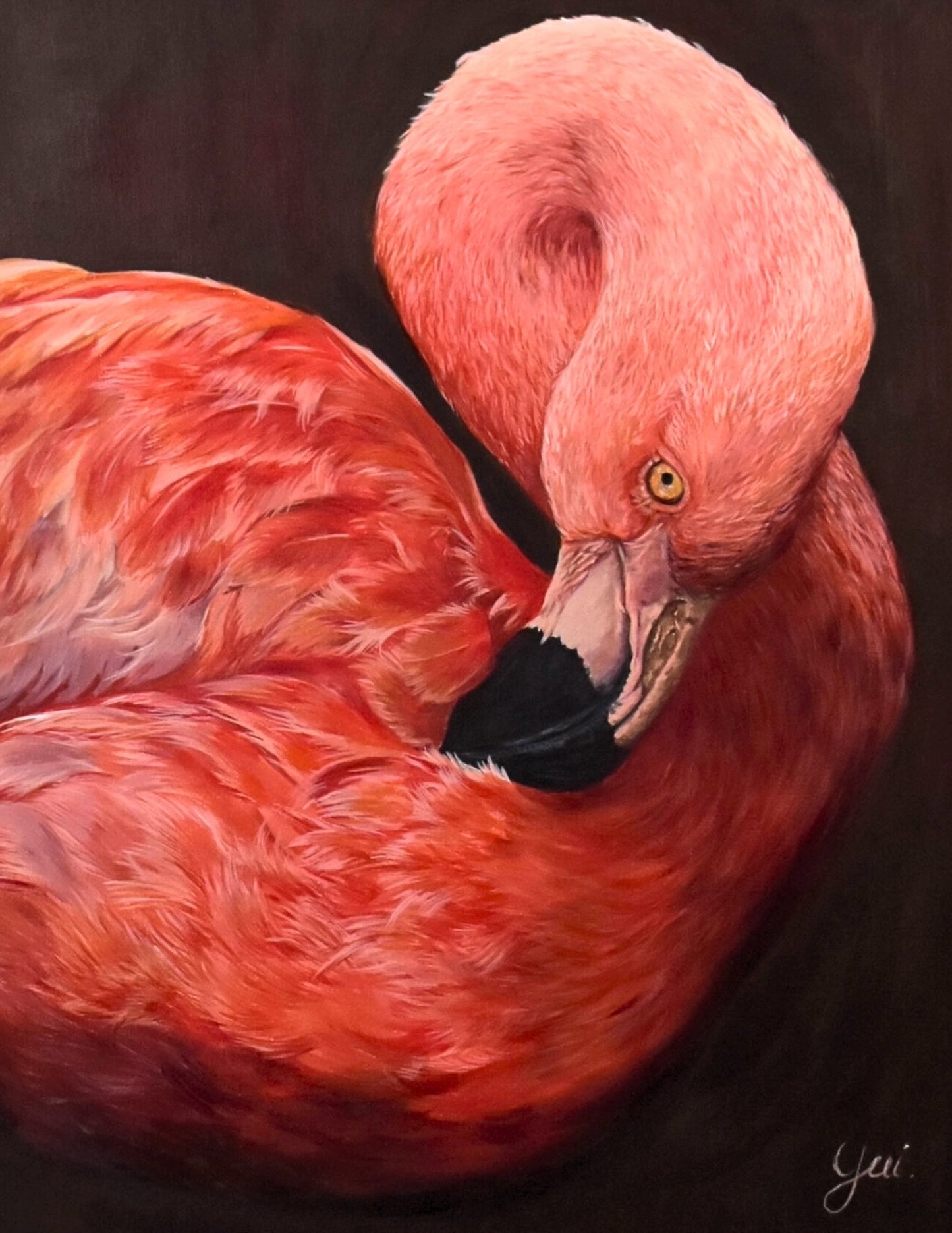 Scarlet Grace - Yuiart