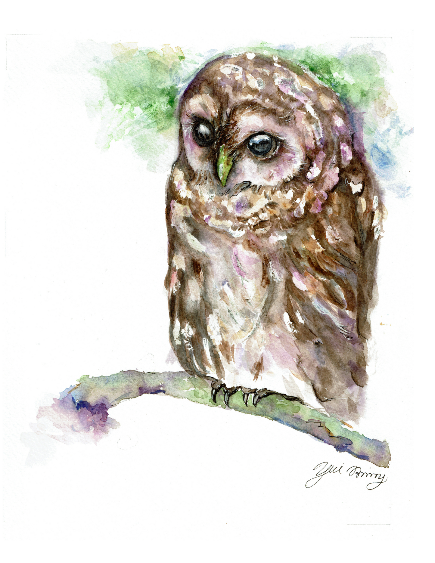 Essence of Owl original owl watercolor art