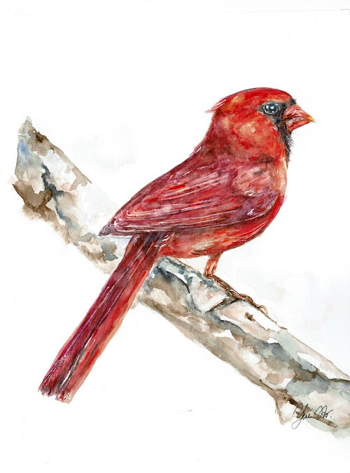"Red Cardinal" Abtract watercolor bird art prints