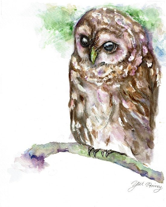 "Essence of Owl" Abtract owl watercolor bird art prints - Yuiart