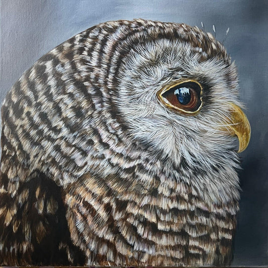Owl portrait painting - Yuiart