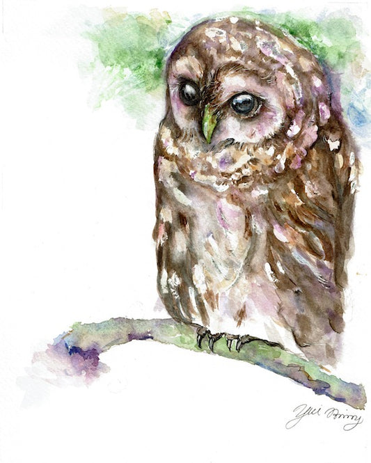 "Essence of Owl" Abtract owl watercolor bird art prints
