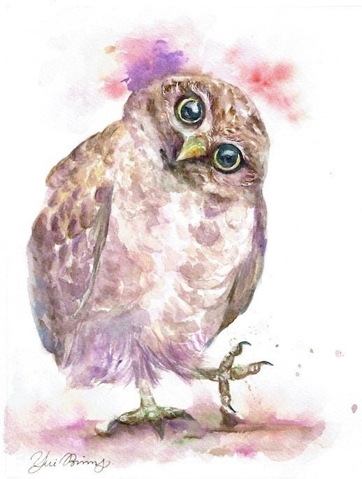" Whaat? " Abtract owl watercolor bird art prints - Yuiart